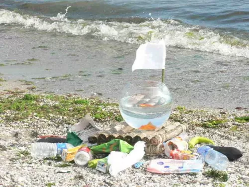 Görsel