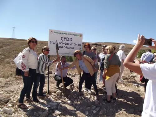 Görsel